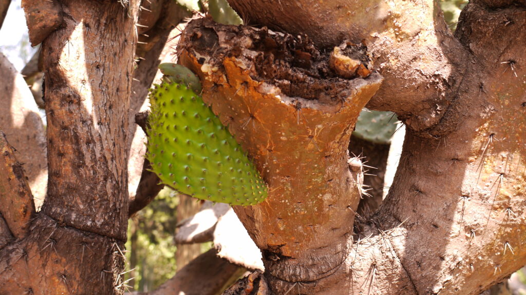 P1050205